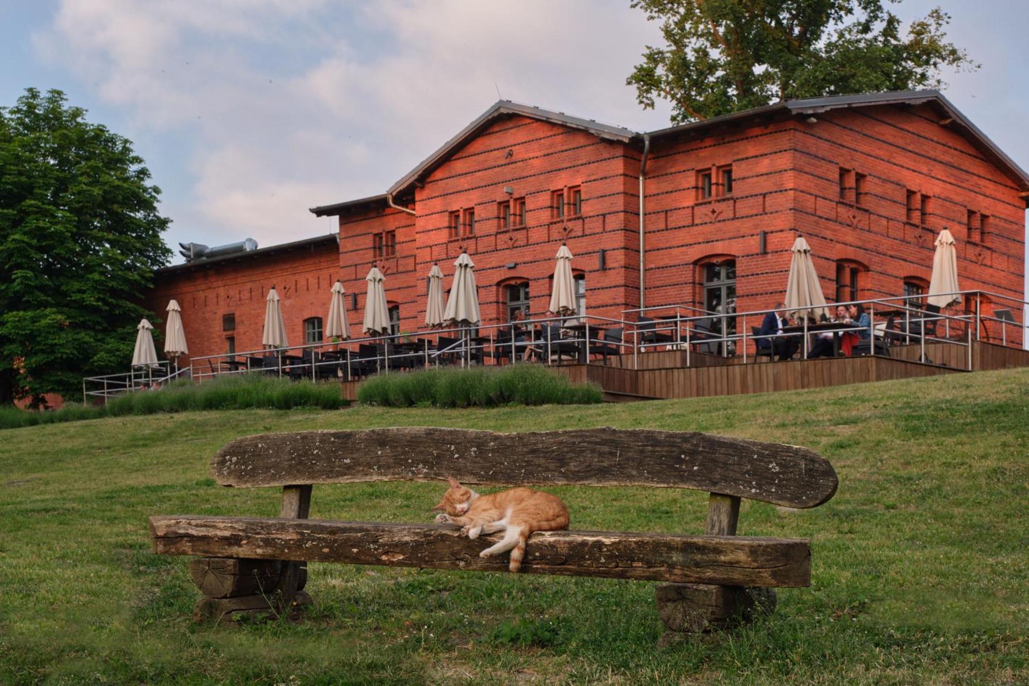 Landgut Stober Hotel Groß Behnitz Bagian luar foto